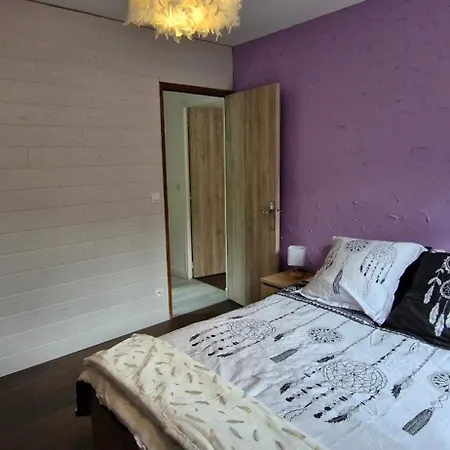 La Marmotte,ski Et Randos Chalet *